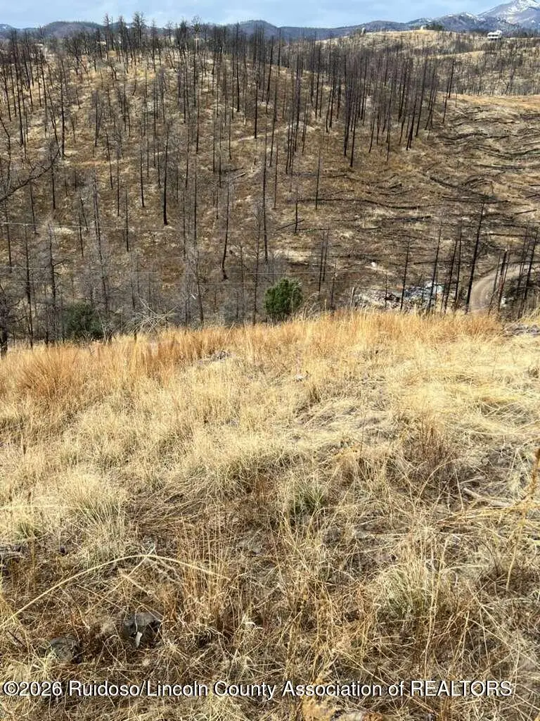 204 Sandia Drive, Ruidoso, NM 88345 - #2
