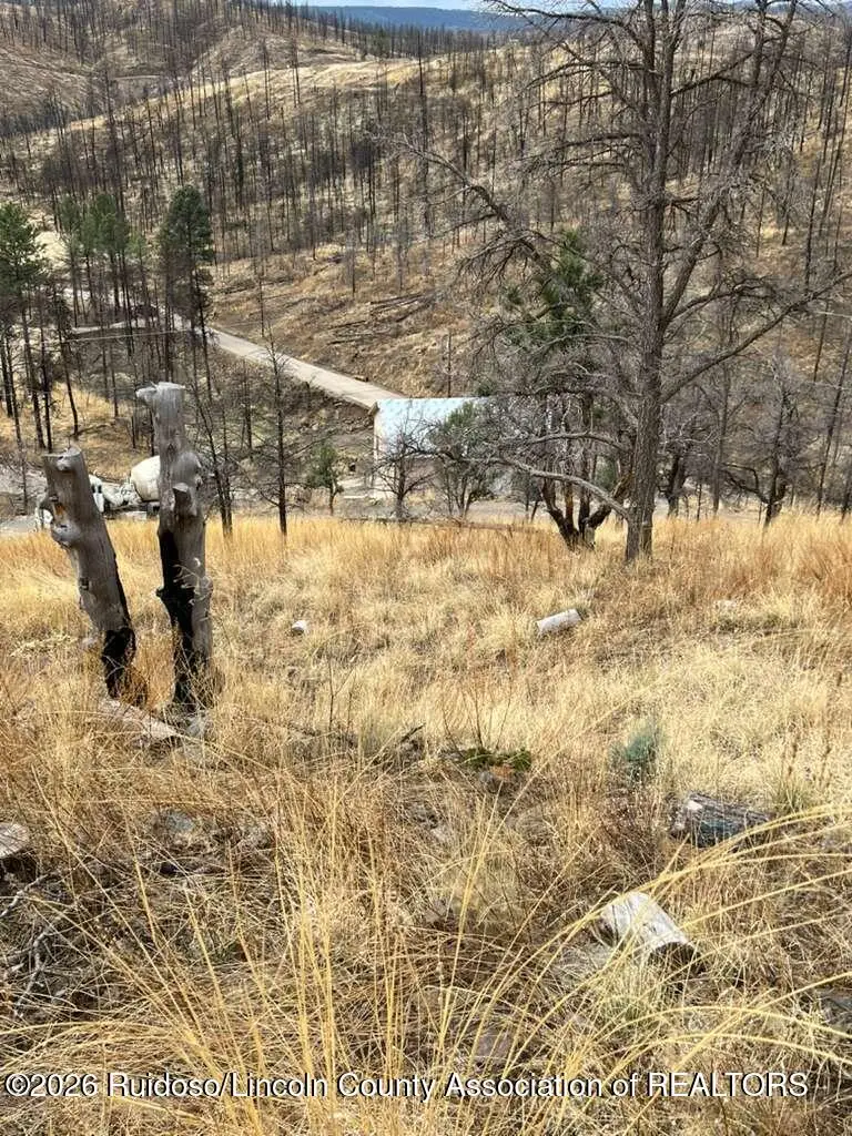 204 Sandia Drive, Ruidoso, NM 88345 - #3