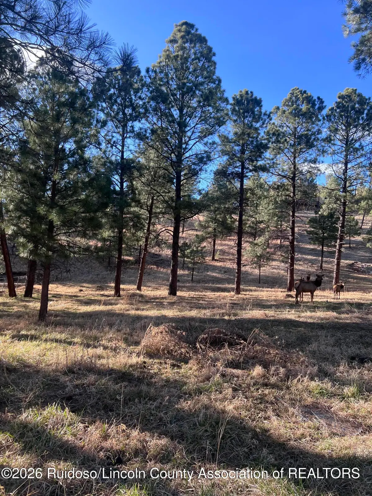 215 White Mountain Meadows Drive, Ruidoso, NM 88345 - #1