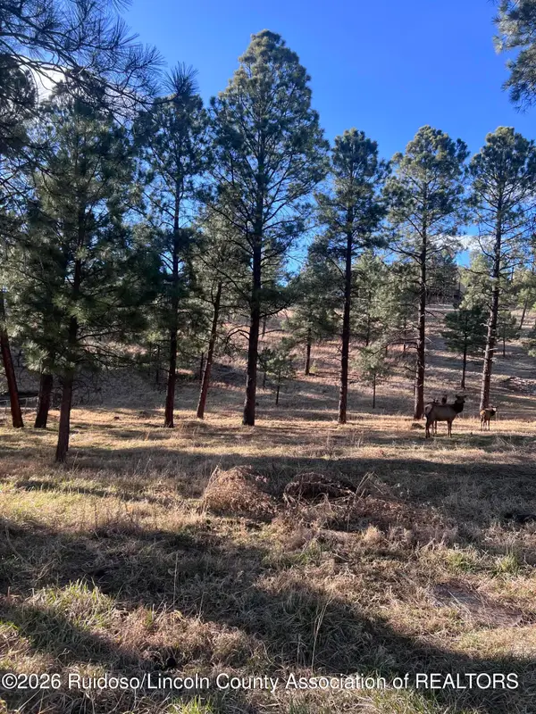 215 White Mountain Meadows Drive, Ruidoso, NM 88345
