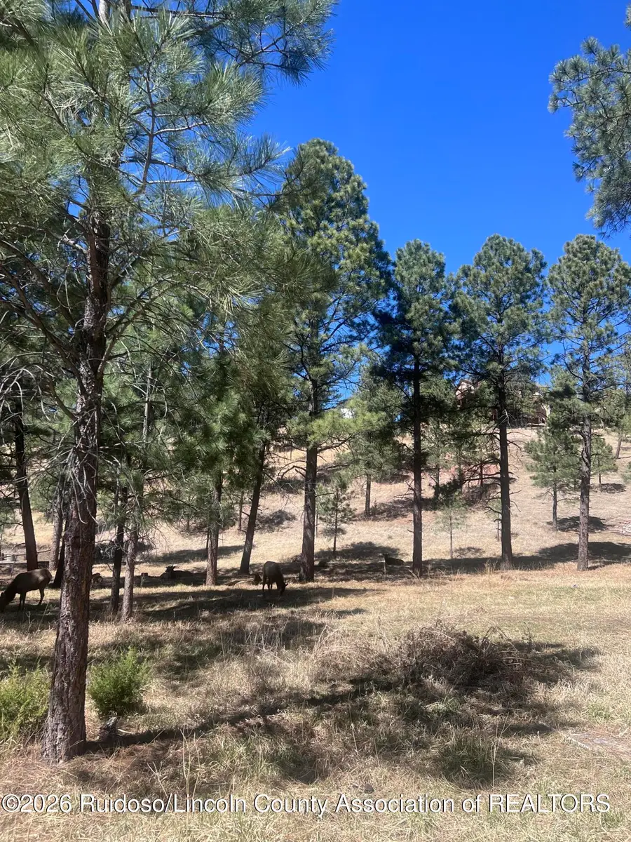 215 White Mountain Meadows Drive, Ruidoso, NM 88345 - #2