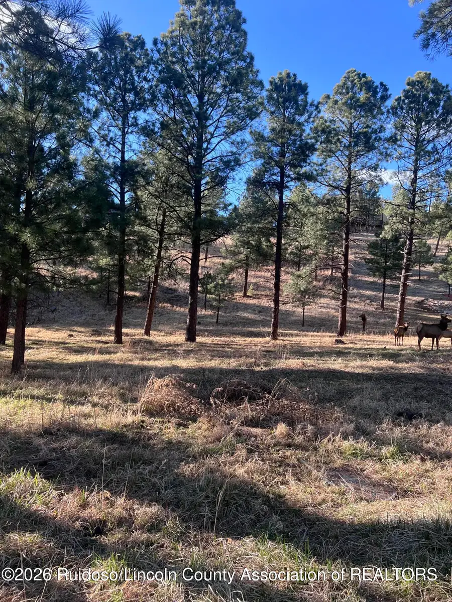 215 White Mountain Meadows Drive, Ruidoso, NM 88345 - #3