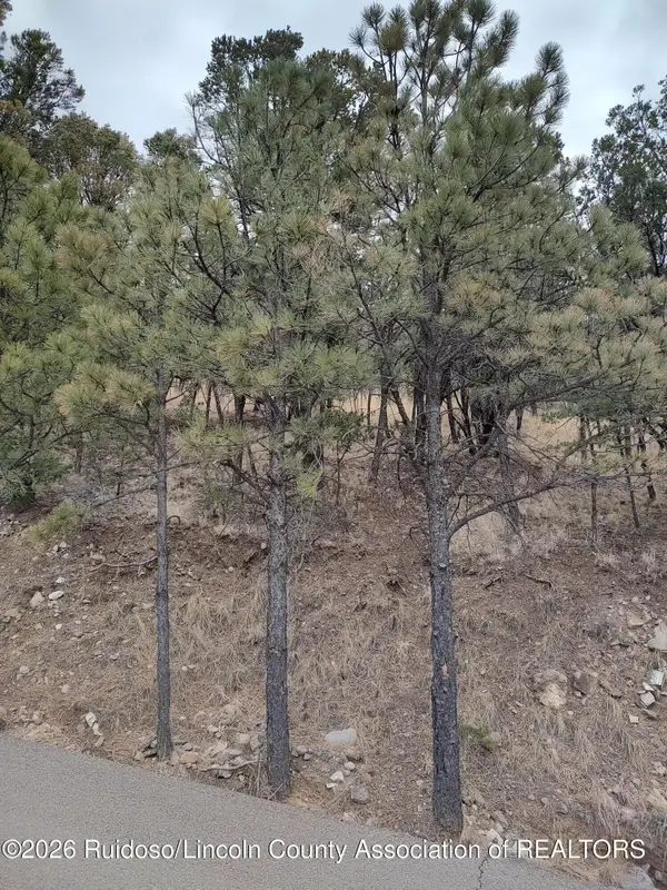 123 Deer Valley Drive, Alto, NM 88312