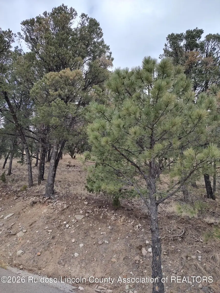 123 Deer Valley Drive, Alto, NM 88312 - #2