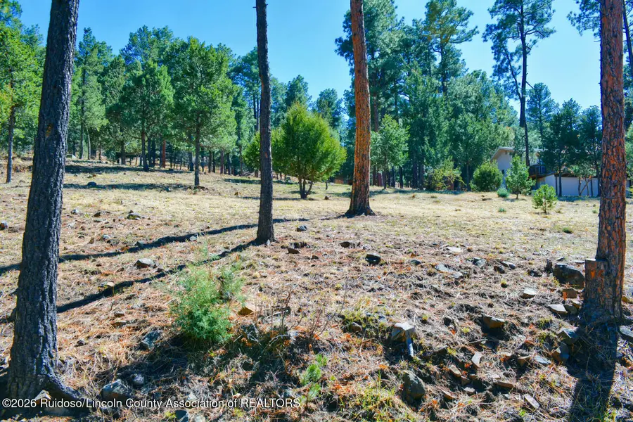 Lot 26 Midiron Drive, Alto, NM 88312 - #2