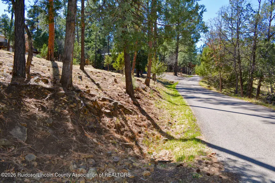 Lot 26 Midiron Drive, Alto, NM 88312 - #3