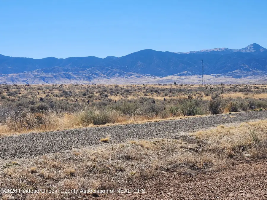 212 & 214 Anvil Road, Carrizozo, NM 88301 - #3