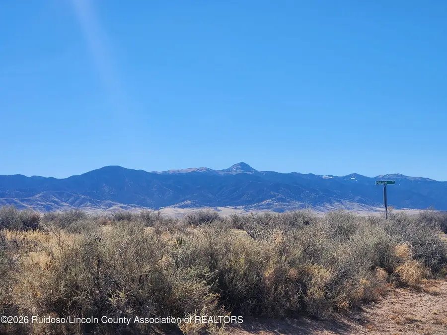 102 Gopher Gulch Loop, Carrizozo, NM 88301 - #2