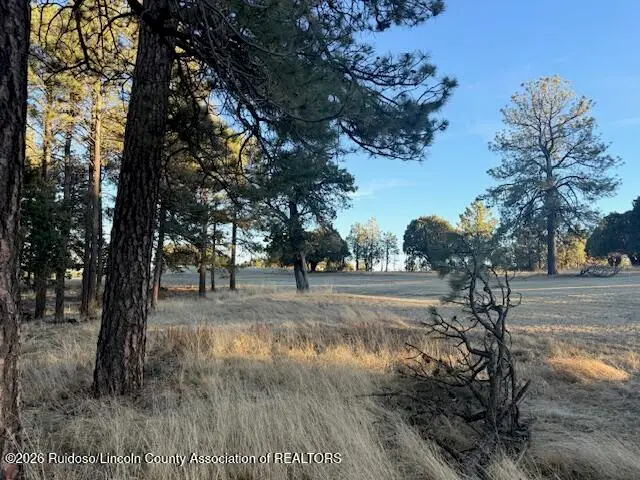 120 Paradise Valley Drive, Timberon, NM 88350 - #1