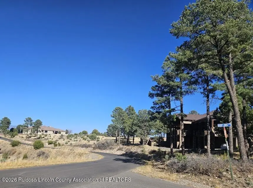 Lot 33B Lincoln Hills Drive, Alto, NM 88312 - #2