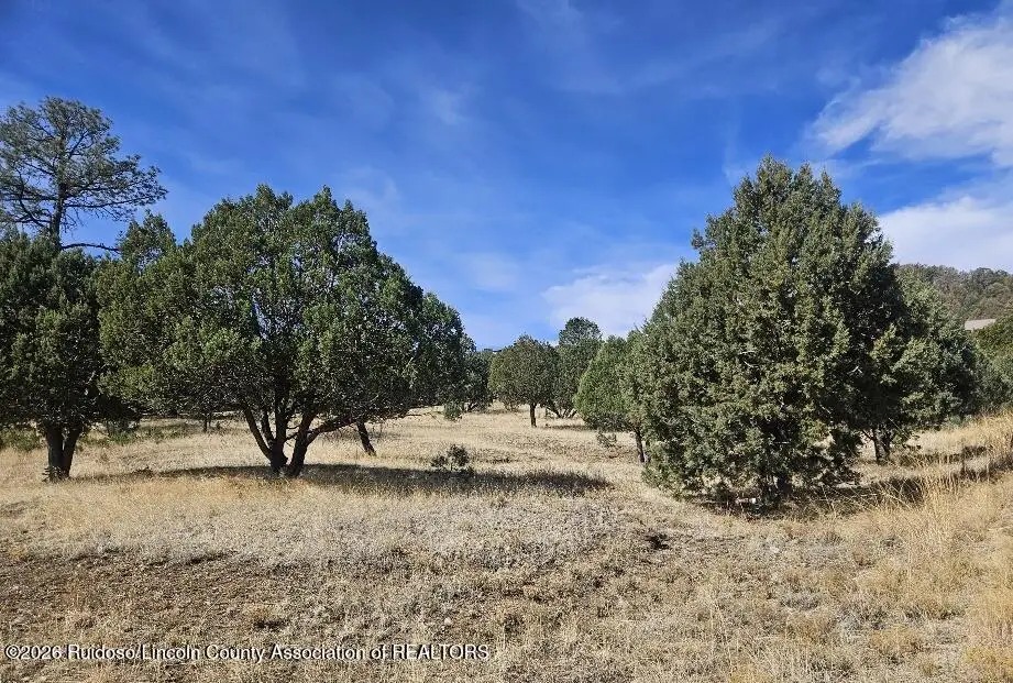Lot 102 Deer Valley Drive, Alto, NM 88312 - #1