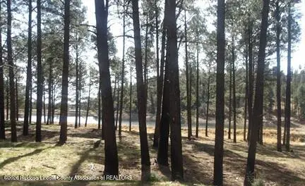 212 Lake Shore Drive, Alto, NM 88312 - #3