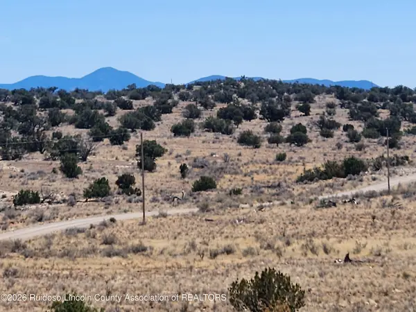 L135 Ranch View Loop, Carrizozo, NM 88301