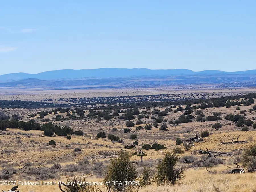 L135 Ranch View Loop, Carrizozo, NM 88301 - #3