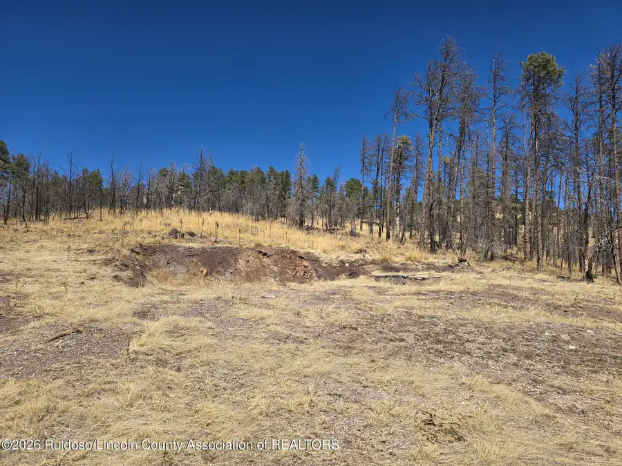 116 Sonora Drive, Ruidoso, NM 88345 - #2
