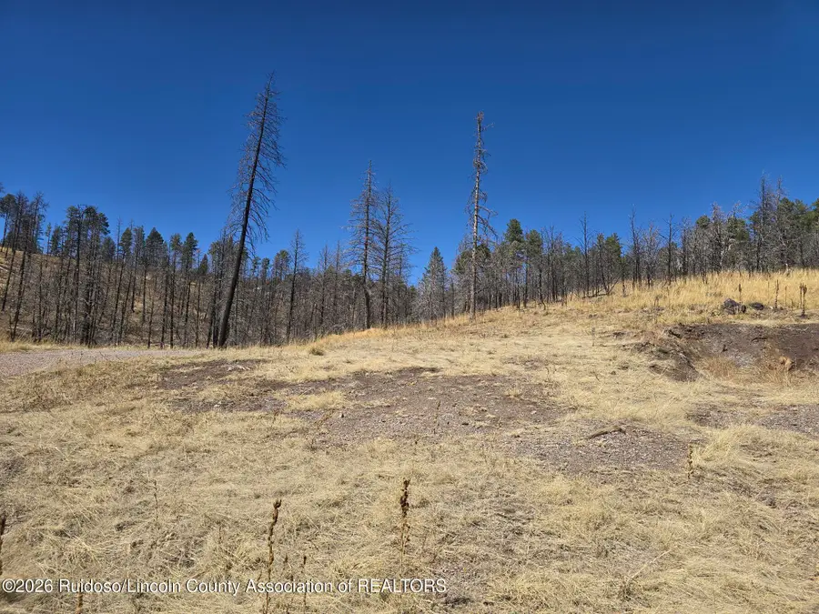 116 Sonora Drive, Ruidoso, NM 88345 - #3