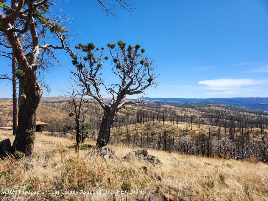 101 & 103 High Chaparral Place, Ruidoso, NM 88345 - #3