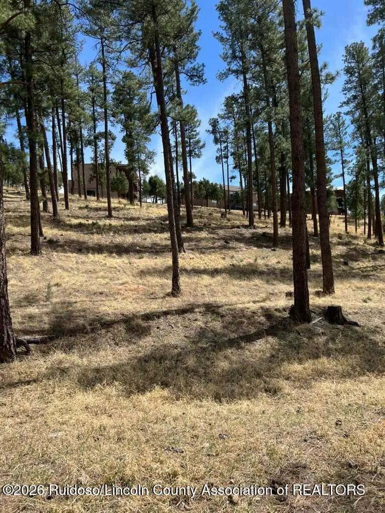 316 White Mountain Meadows Drive, Ruidoso, NM 88345 - #1