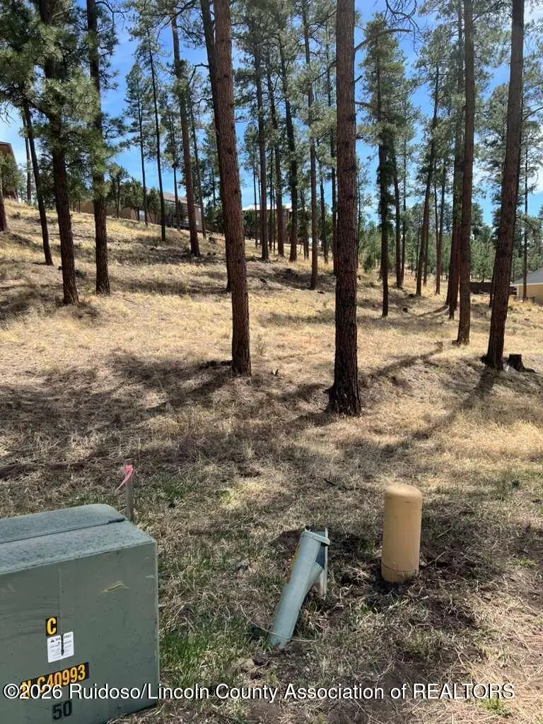 316 White Mountain Meadows Drive, Ruidoso, NM 88345 - #2