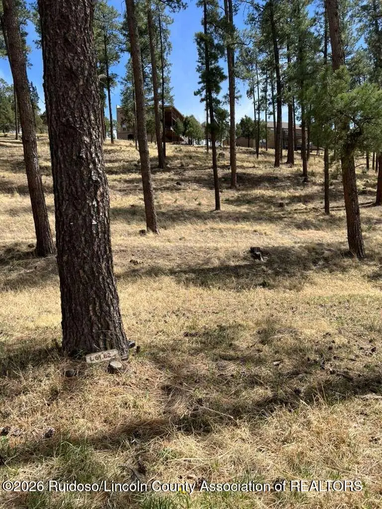 316 White Mountain Meadows Drive, Ruidoso, NM 88345 - #3
