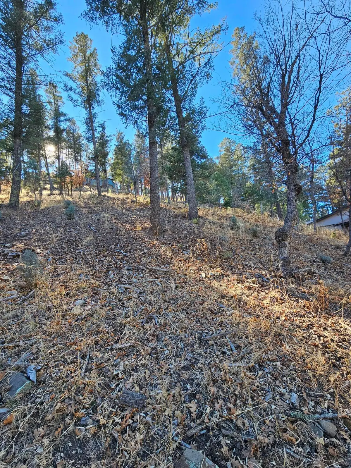 203 Perk Canyon Drive, Ruidoso, NM 88345 - #1