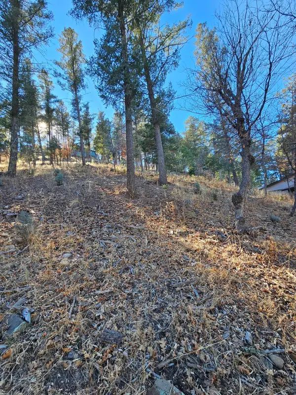 203 Perk Canyon Drive, Ruidoso, NM 88345