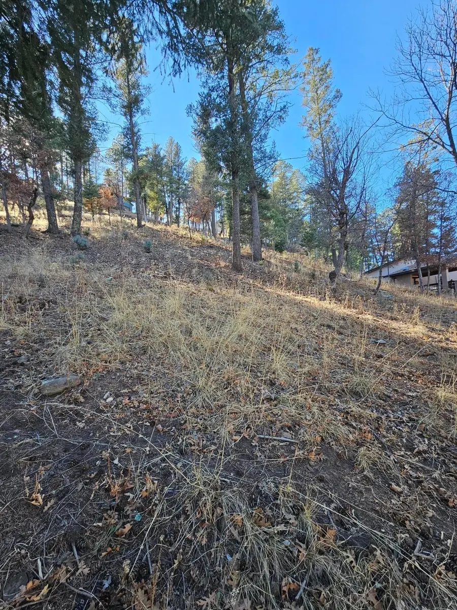 203 Perk Canyon Drive, Ruidoso, NM 88345 - #2
