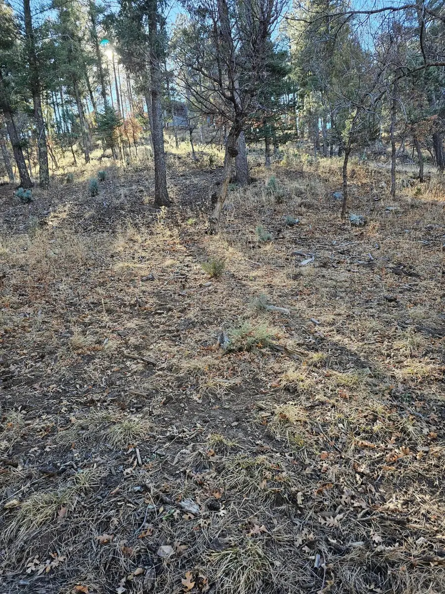 203 Perk Canyon Drive, Ruidoso, NM 88345 - #3