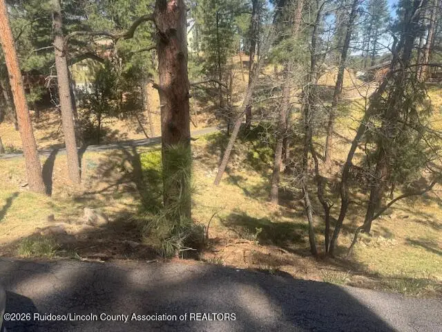 138 Old Lincoln Road, Ruidoso, NM 88345 - #2