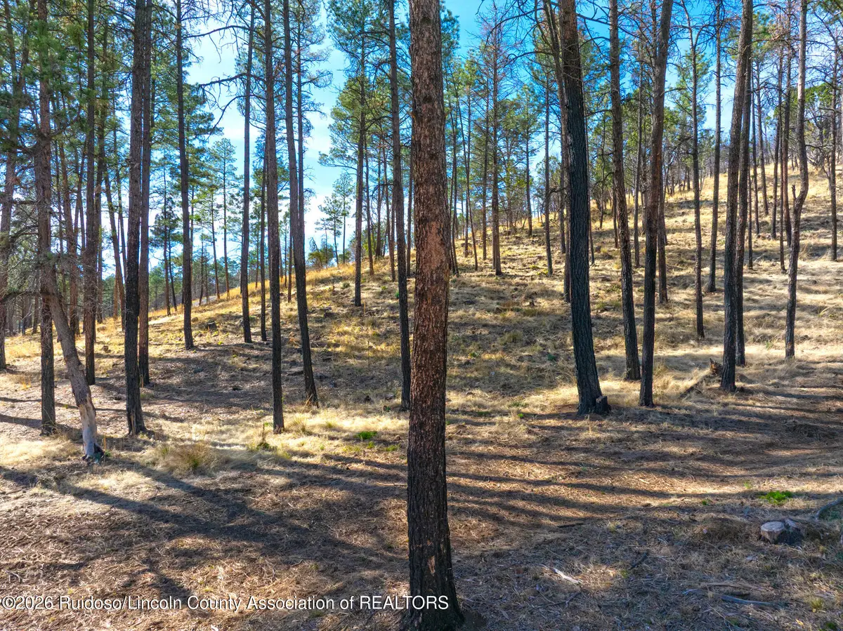 210 Deer Creek Road, Ruidoso, NM 88345 - #1