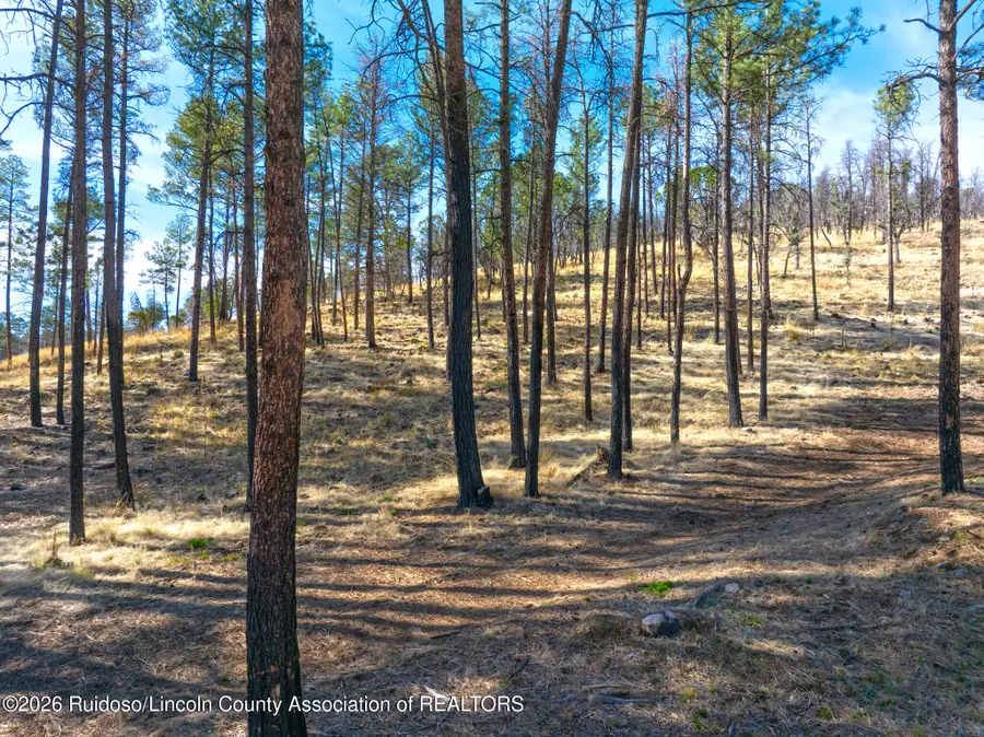 210 Deer Creek Road, Ruidoso, NM 88345 - #2