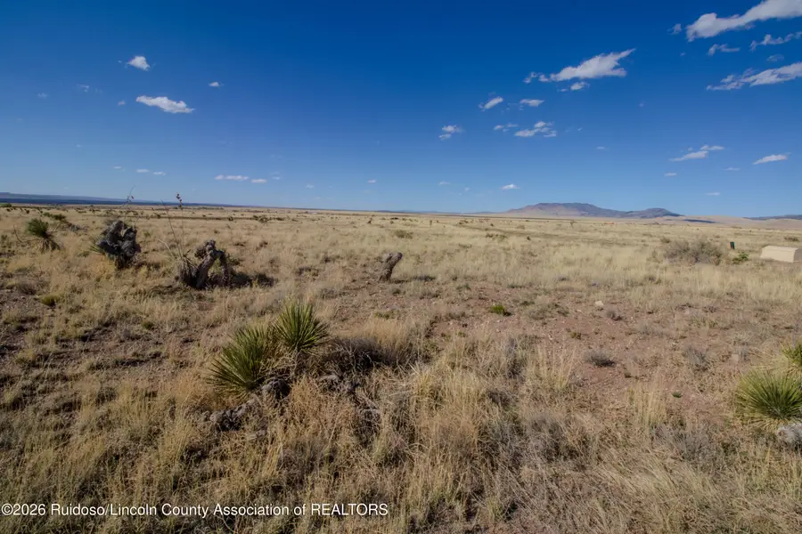tbd Valle Del Sol Road, Carrizozo, NM 88301 - #3
