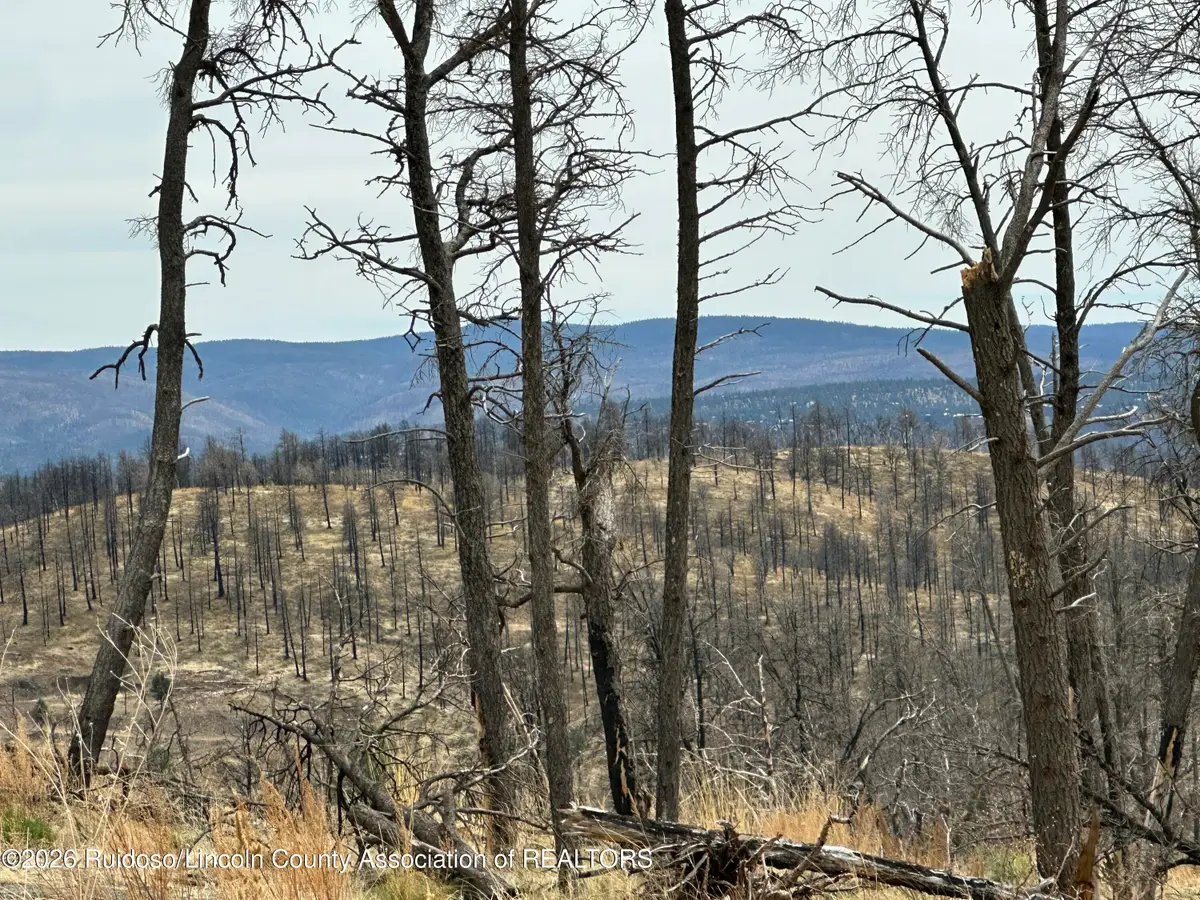 T3A-2 Horizon View Trail, Ruidoso, NM 88345 - #1