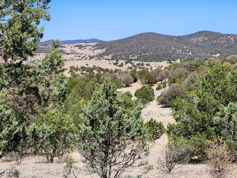 Tract 19 Cedar Crest Road, Nogal, NM 88341 - #2