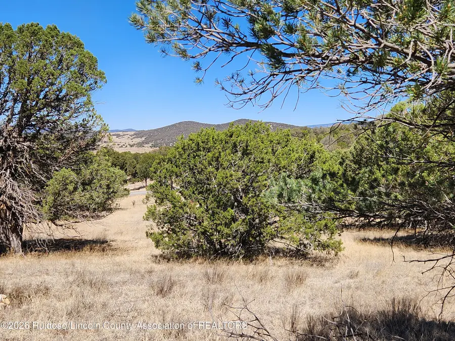Tract 19 Cedar Crest Road, Nogal, NM 88341 - #3