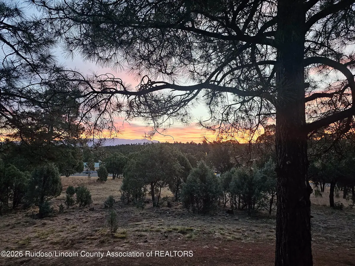 102 Alto Alps Road, Alto, NM 88312 - #1