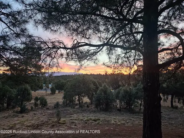 102 Alto Alps Road, Alto, NM 88312