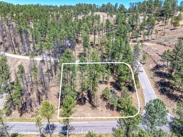 223 Lake Shore Drive, Alto, NM 88312