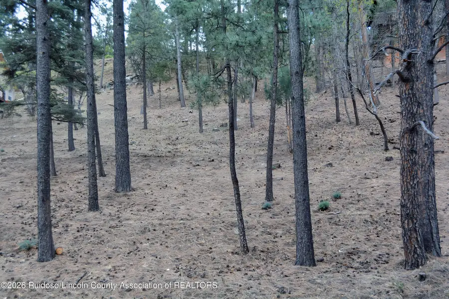 Lot 61 Ft. Stanton Road, Alto, NM 88312 - #3
