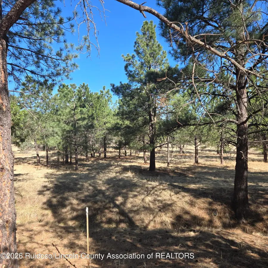 . Old Fort Stanton Road, Alto, NM 88312 - #2