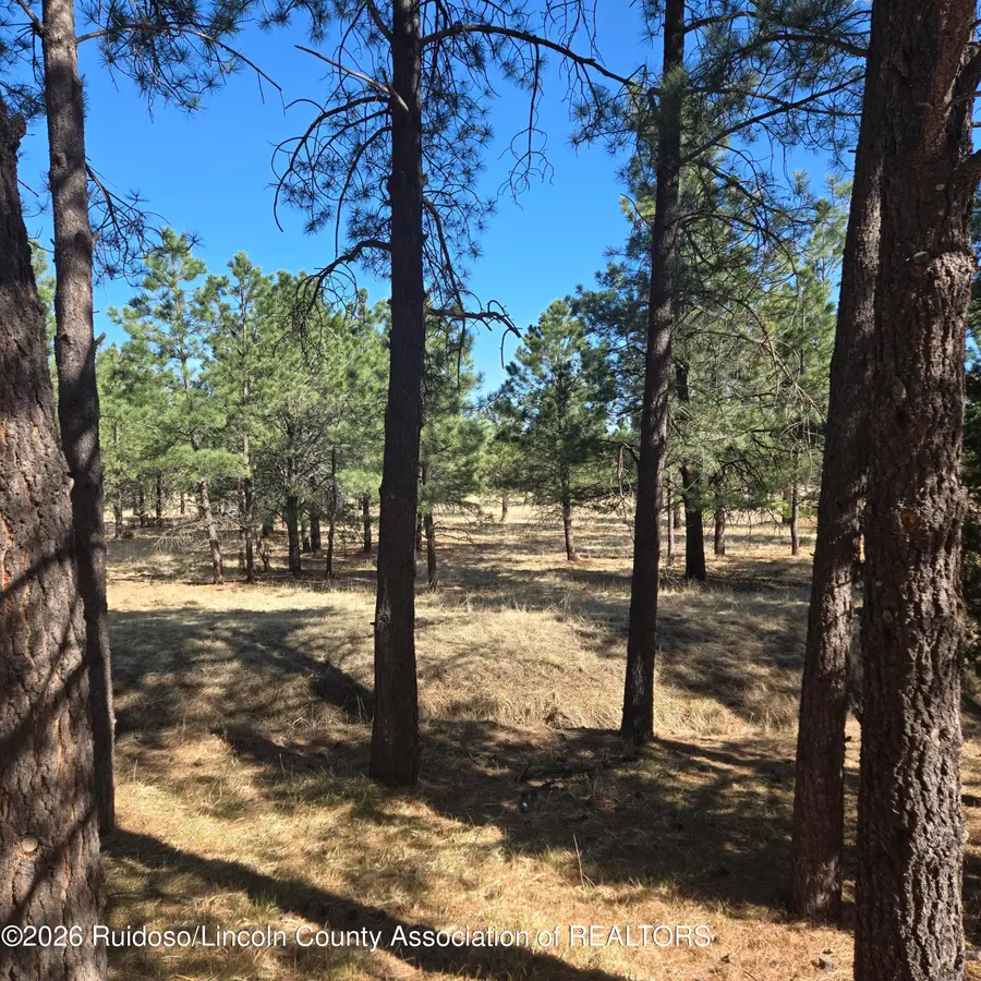 . Old Fort Stanton Road, Alto, NM 88312 - #3