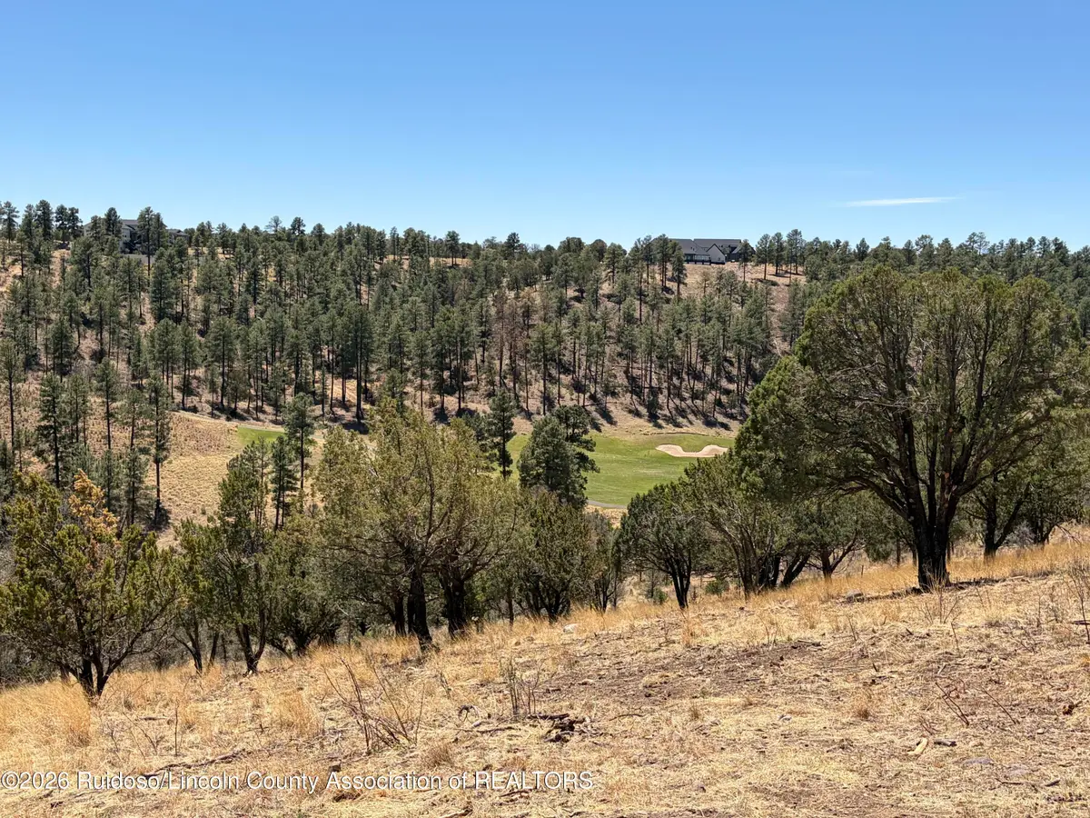 - Lot 60b-1 Bobby Jones Ct Lane, Alto, NM 88312 - #1