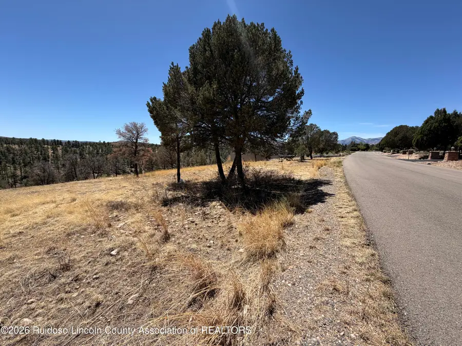 - Lot 60b-1 Bobby Jones Ct Lane, Alto, NM 88312 - #2