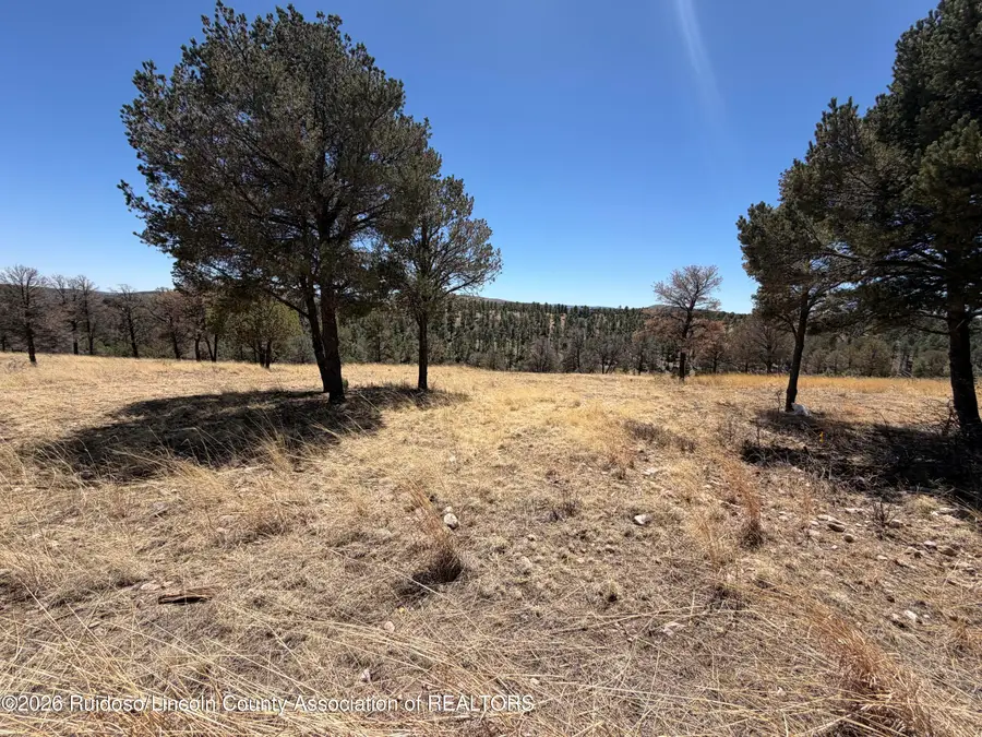 - Lot 60b-1 Bobby Jones Ct Lane, Alto, NM 88312 - #3