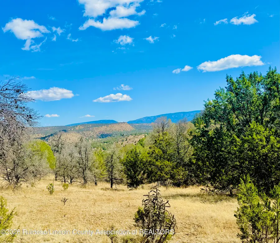 107 Santiago Circle, Alto, NM 88312 - #3