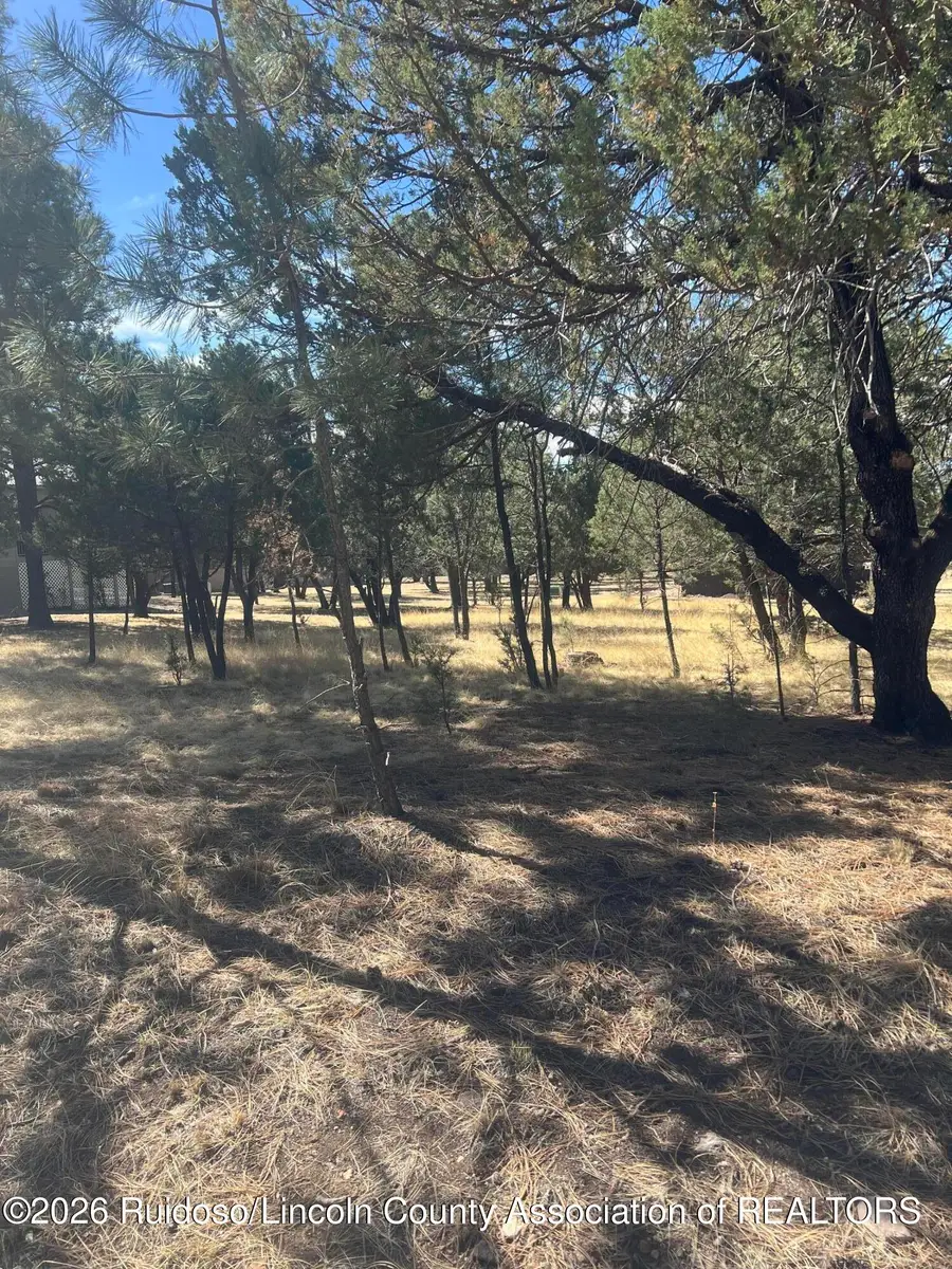 Lot 7 Mira Monte Road, Alto, NM 88312 - #3
