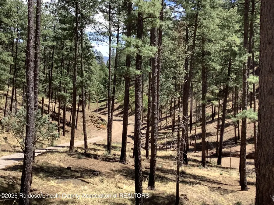 108 Maple Drive, Ruidoso, NM 88345 - #3