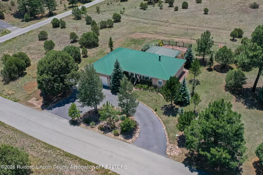 132 Deer Valley Drive, Alto, NM 88312 - #2