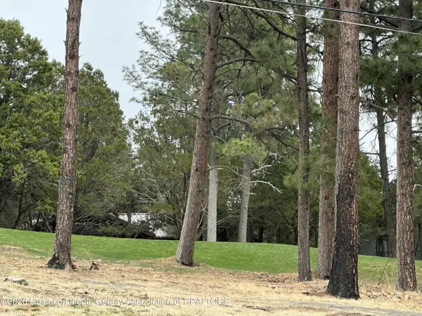 125 Crown Ridge Road, Alto, NM 88312