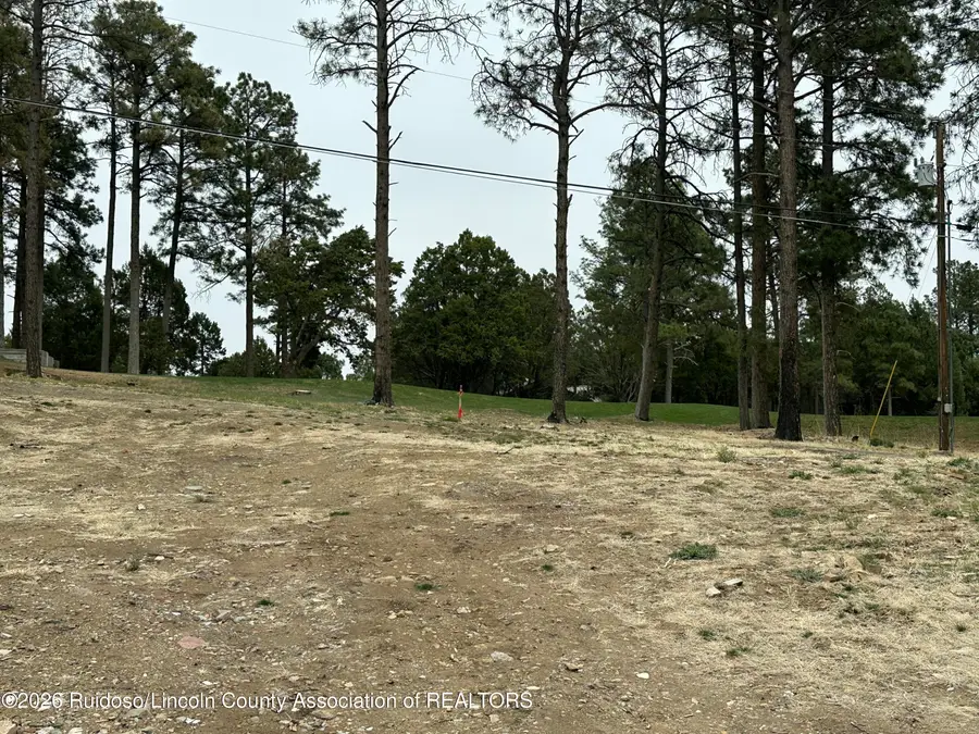 125 Crown Ridge Road, Alto, NM 88312 - #3